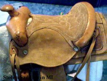 Stolen Saddles in MI